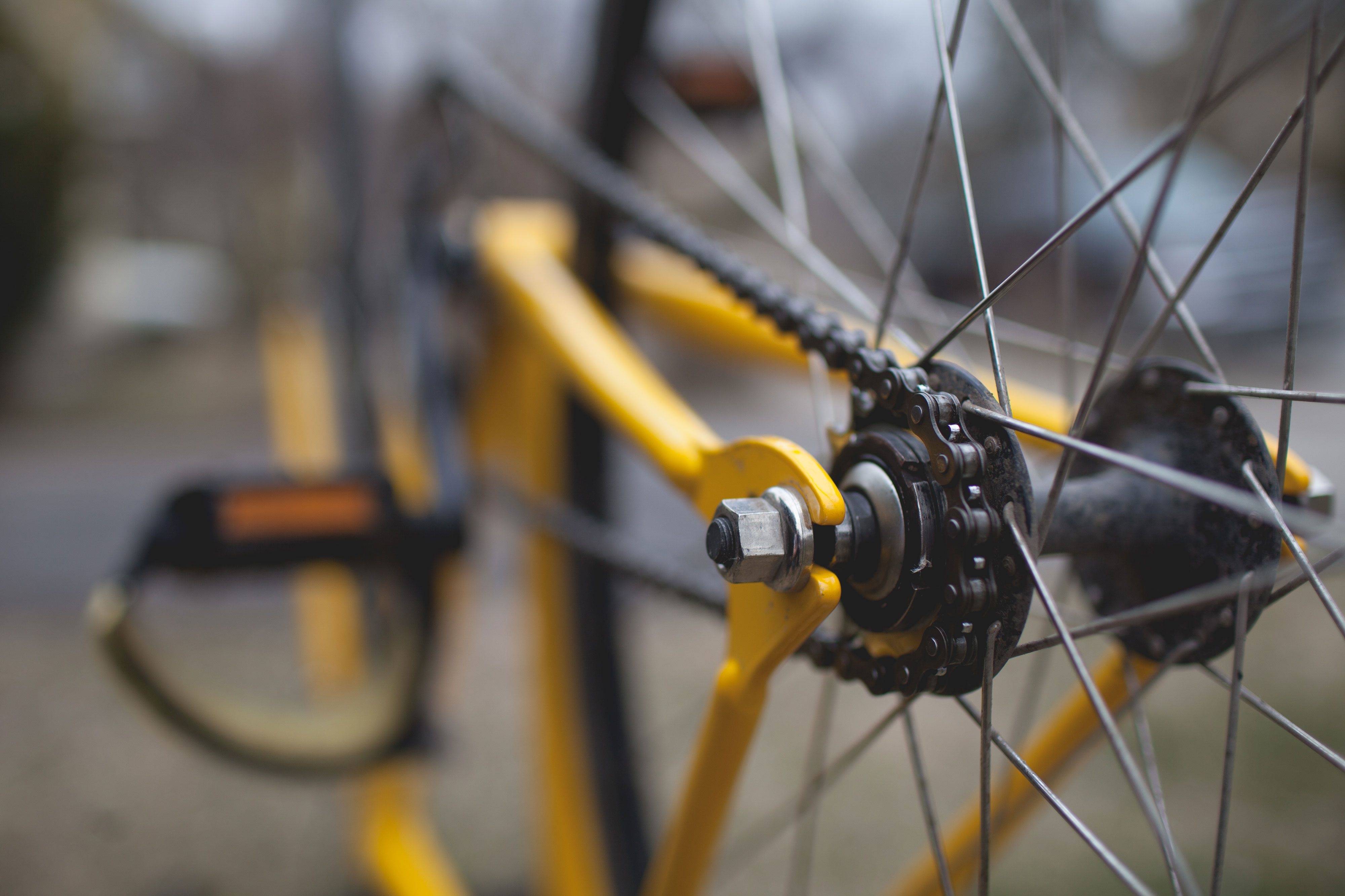 Bike or drive through scenic Bastrop State Park
