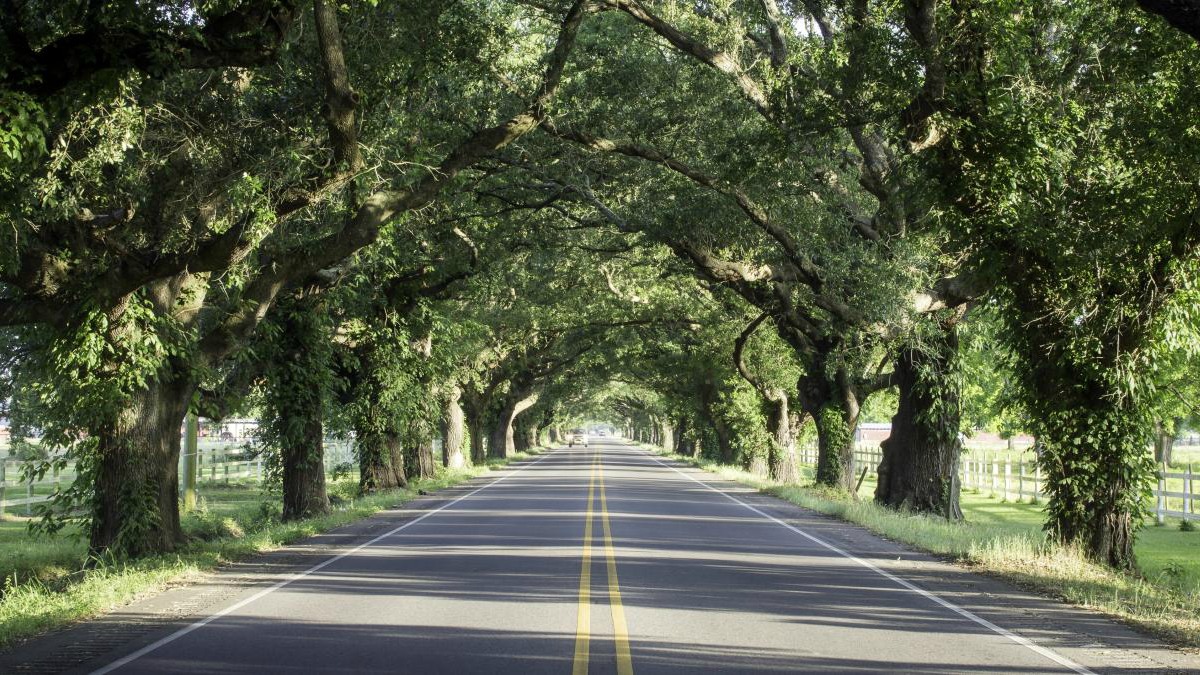 louisiana-san-bernardo-byway