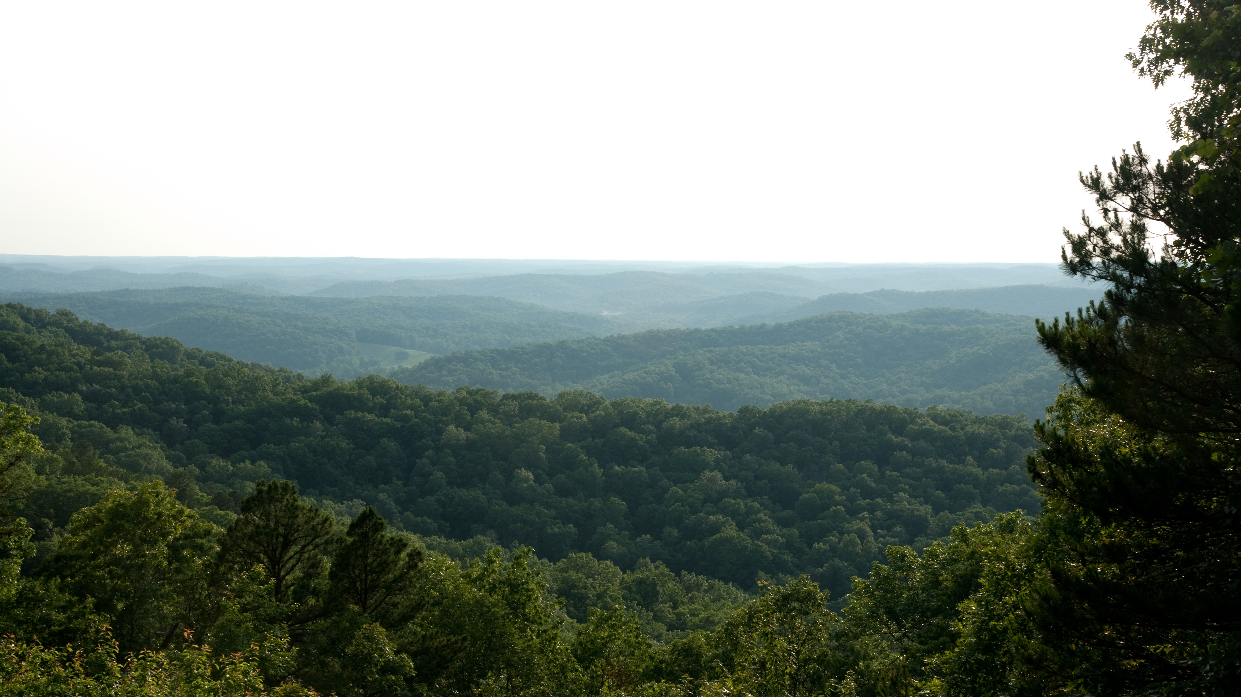 blue-buck-knob-scenic-byway-missouri