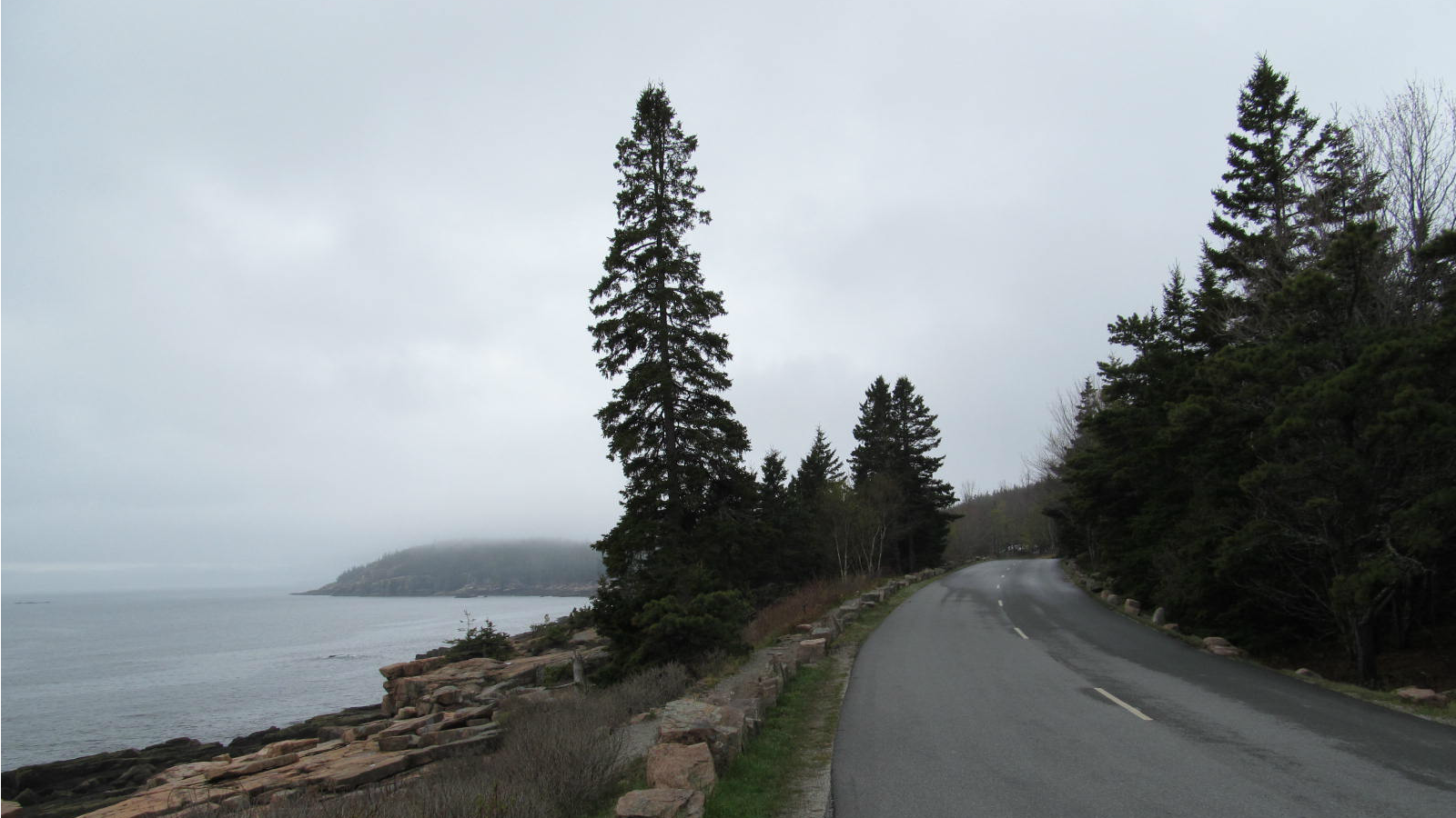 acadia-national-park-loop-maine
