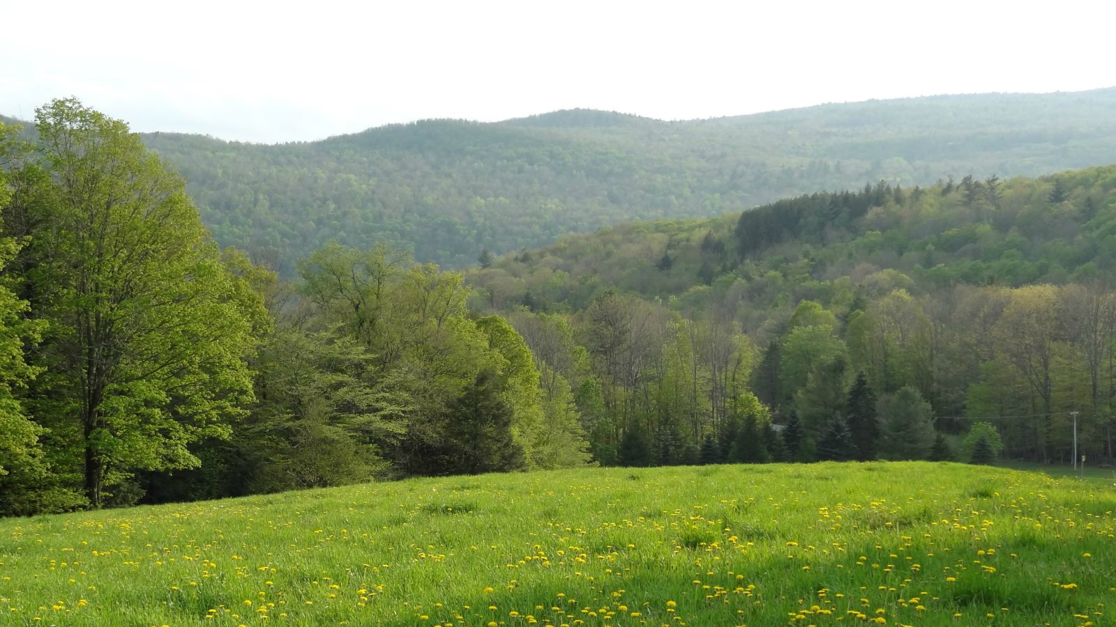 vermont-scenic-route-100