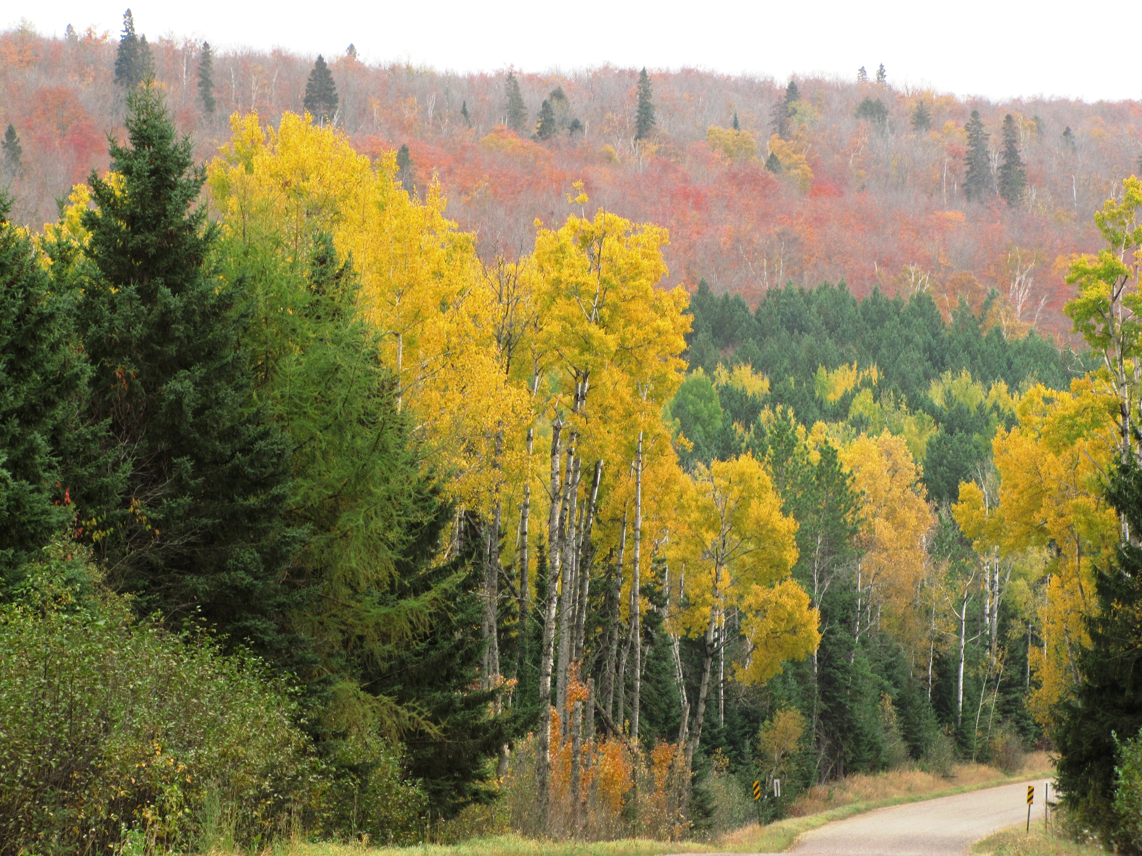 superior-national-forest-scenic-byway