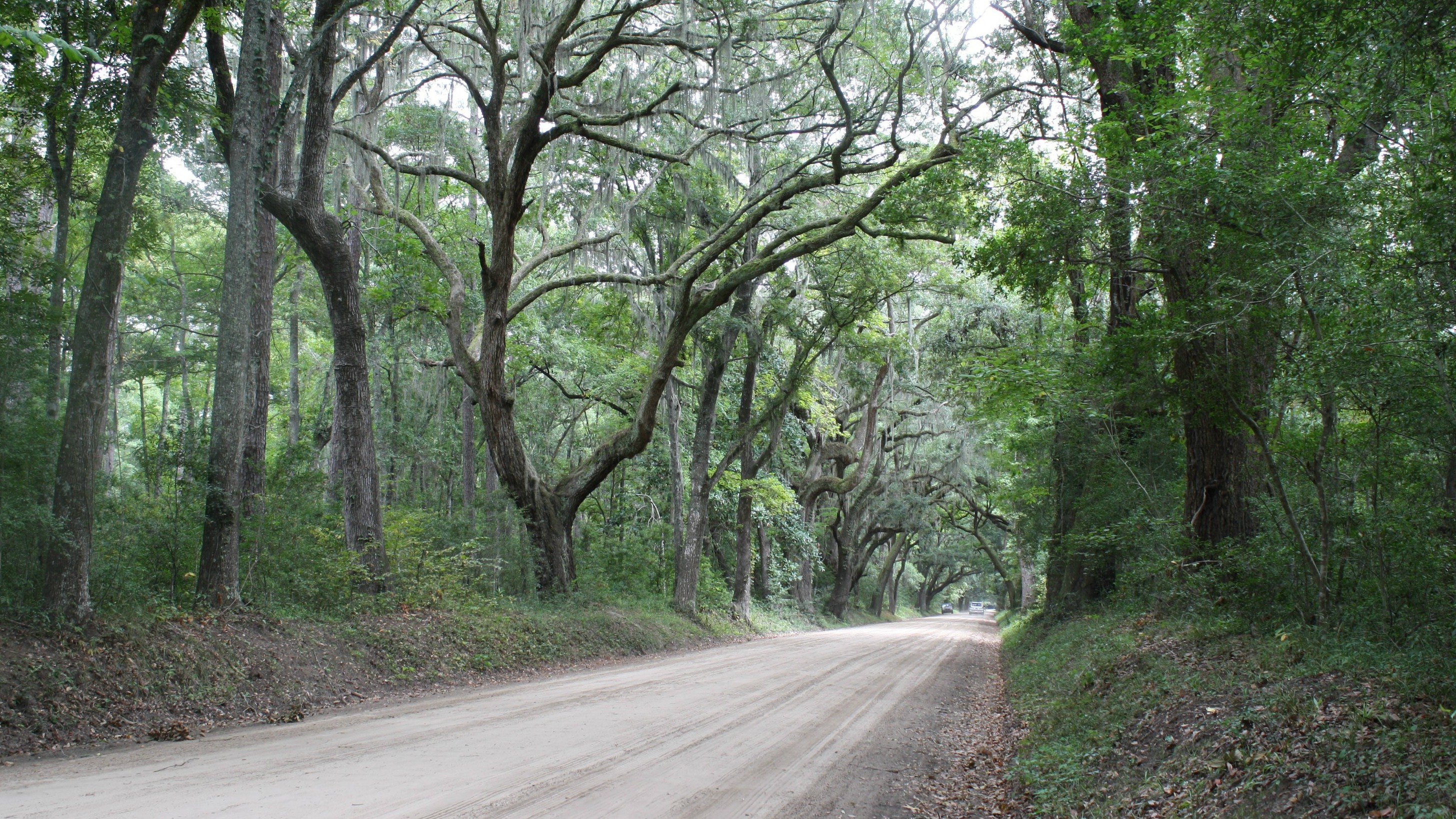 edisto-island-scenic-byway-south-carolina