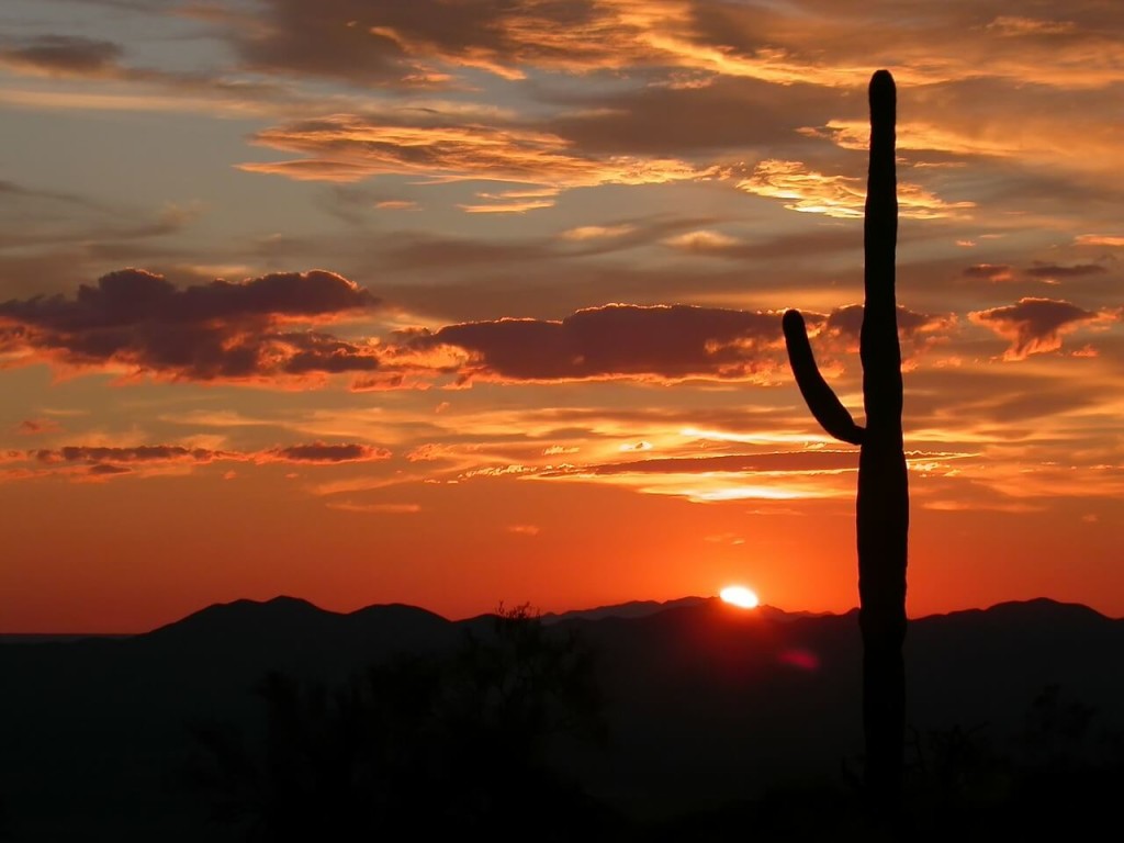 Racing Arizona: drive through the beautiful countryside of The Grand Canyon state with your leaner's permit!