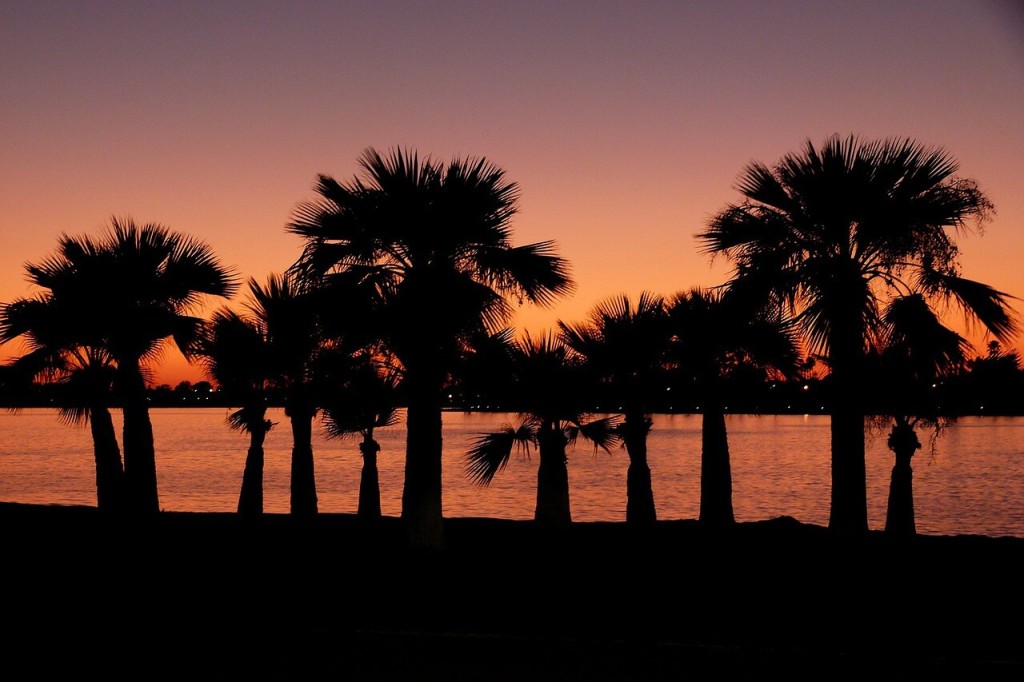 California, you're not dreamin': Aceable is now offering its permit test prep course for free!