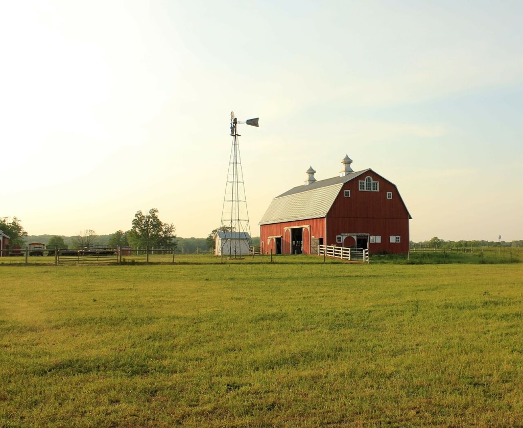 Hoosier favorite? Aceable, probably, because we're now offering a free learner's permit test prep course in Indiana.