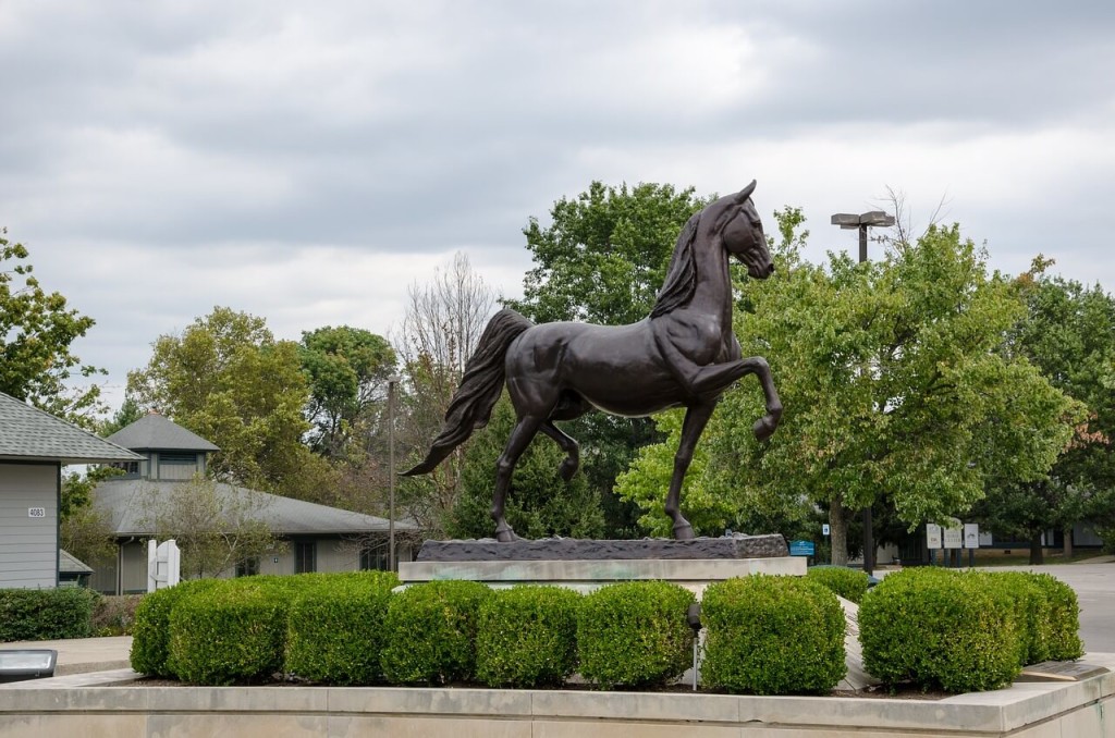 Hold your horses -- Aceable now has free learner's permit test prep in Kentucky?! Yes, yes we do.