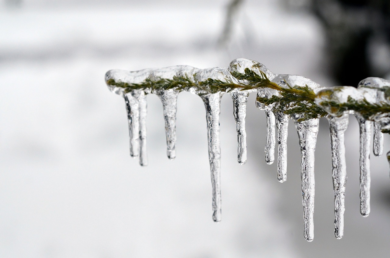 Black ice is the most dangerous ice while driving.