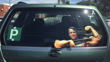 Your rear windshield wipers are important to upkeep as well.