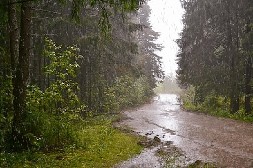 With your new windshield wipers, you're totally ready for a rainy day!