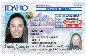 idaho driver license
