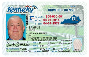 kentucky driver license