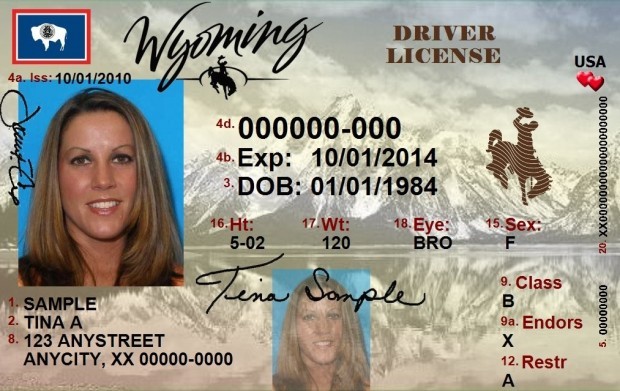 wyoming driver license