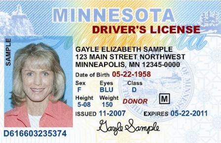 minnesota driver license