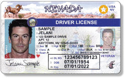 nevada driver license