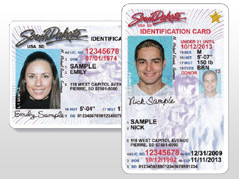south dakota driver license