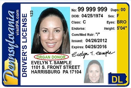 pennsylvania driver license