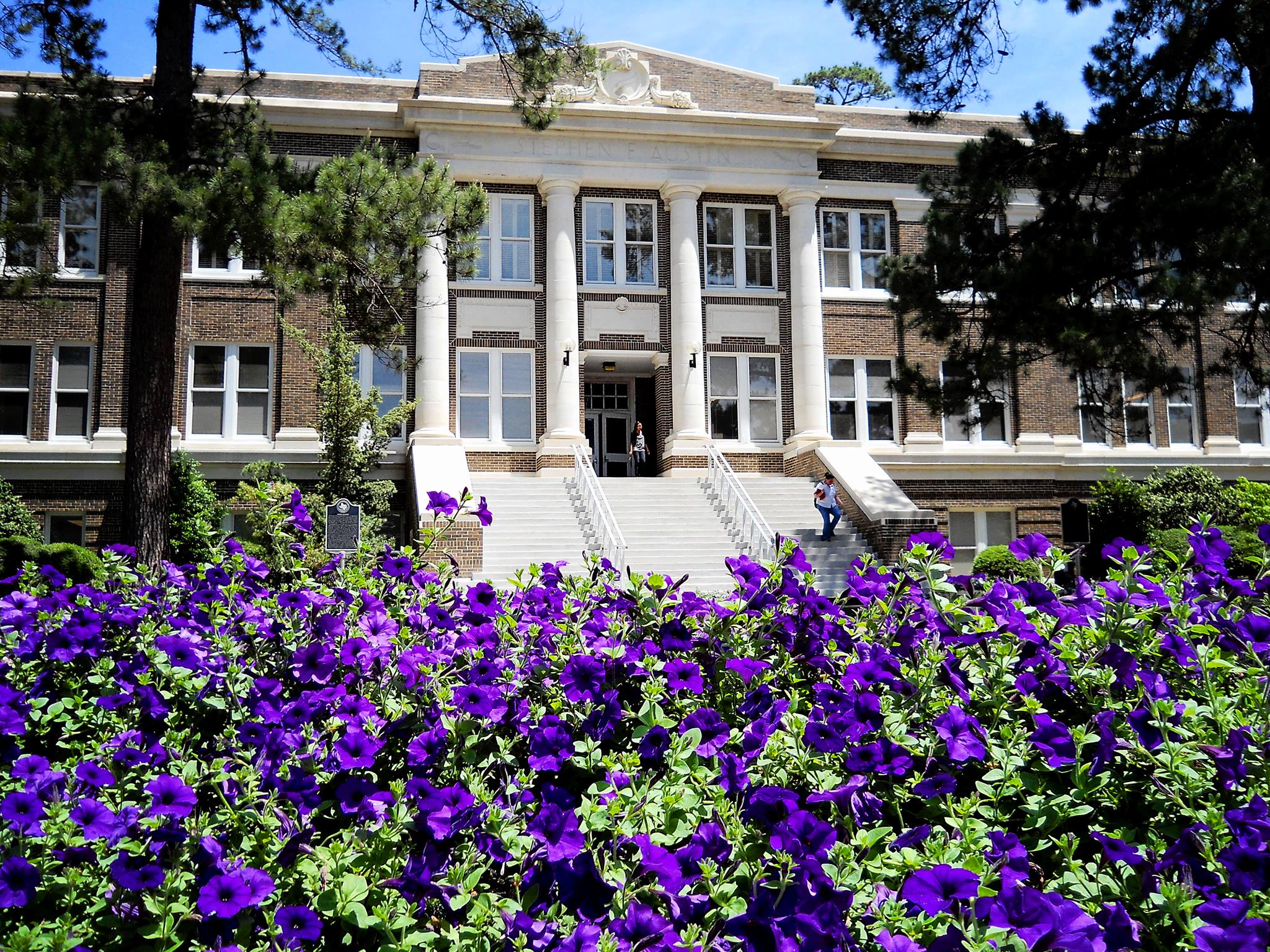 stephen-f-austin