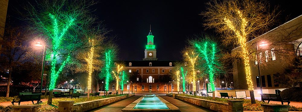 university-north-texas