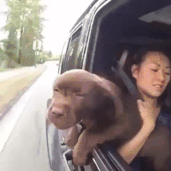 If the windows are down, skip the AC.
