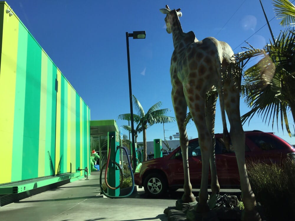 photo credit: Michael A./Yelp.com
