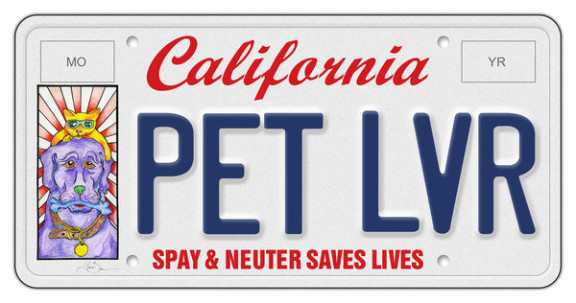 Pet lover license plate