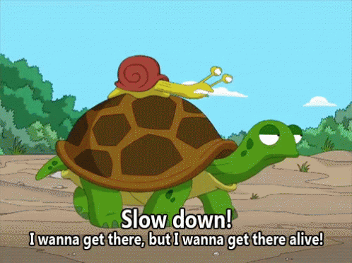 Snail on the Turtle back saying slow down