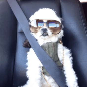 Roadtrip