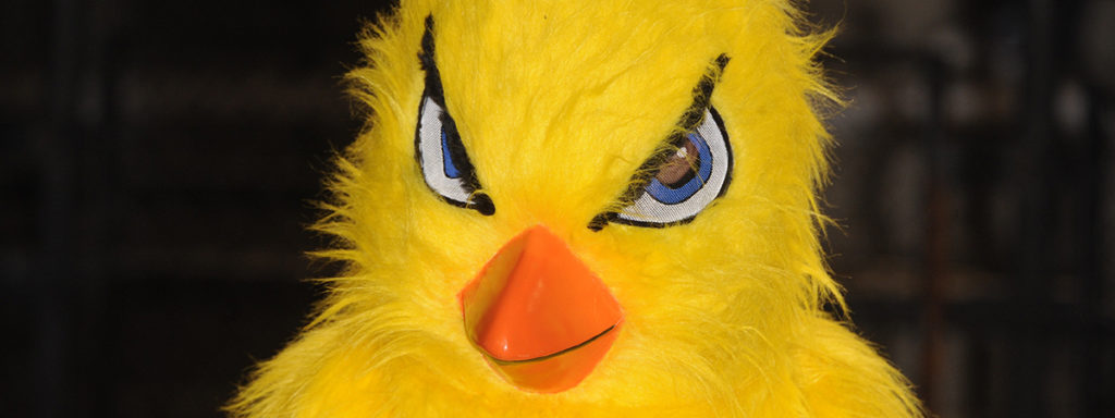 Pennsylvania mascots football