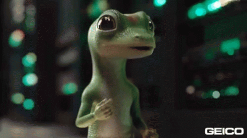 Geico Defensive driving
