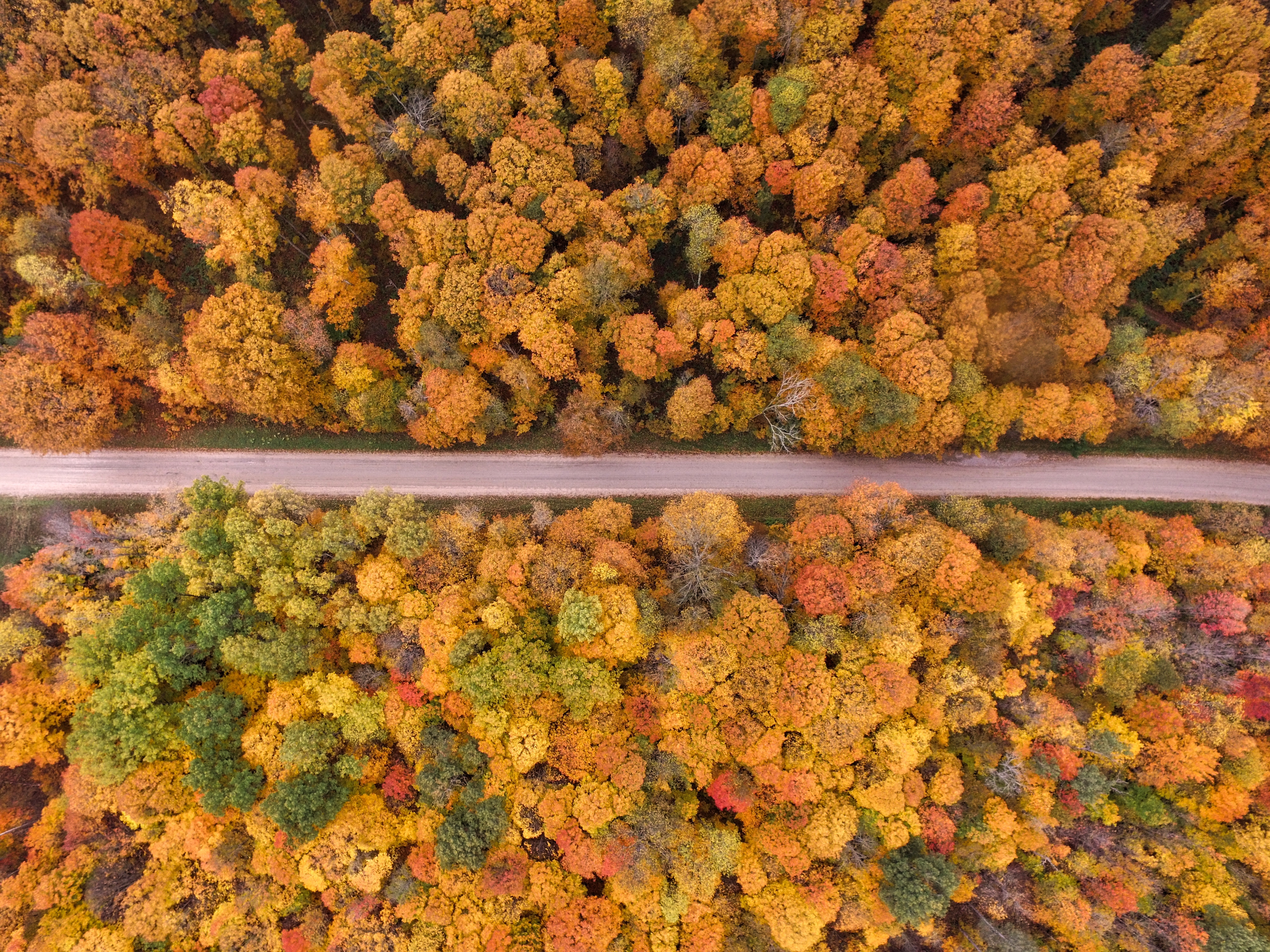 Autumn