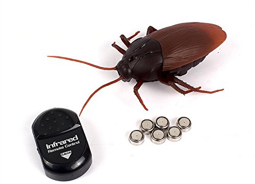 Remote Controlled Cockroach